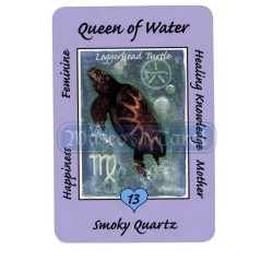 Tarot Coleccion Australian Animal - Ann Williams-Fitzgerald (EN)