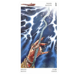 Tarot Coleccion Avalon - Joseph Viglioglia (Instrucciones Multilenguaje) (SCA)