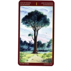 TAROT Afro Brasileño (Sta