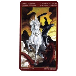 TAROT Afro Brasileño (Sta