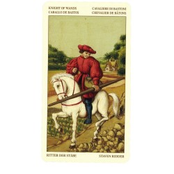 TAROT Bruegel (Standard)