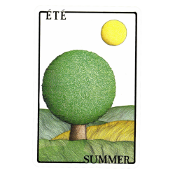 Tarot Chinese Horoscope (47 Cartas) (Frances) (Maestros) -