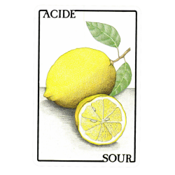 Tarot Chinese Horoscope (47 Cartas) (Frances) (Maestros) -