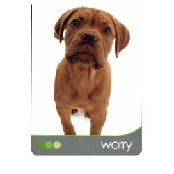 Tarot Dog Wisdom (Set) (45 Cartas) (En) (Usg)