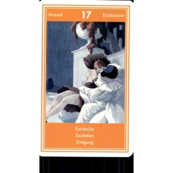 Oraculo Coleccion Eros Oracle - Laura Tuan - (32 Cartas) (EN, SP, DE, IT, FR) (SCA) 0917