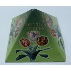 Tarot Coleccion Sabiduria de las Flores (32 Cartas) (Caja Piramide) (Scarabeo)