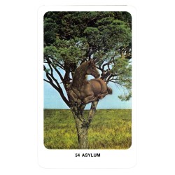 TAROT Secret Dakini (Orac