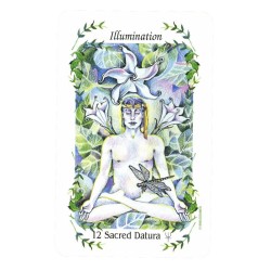 T. Colecc. Flower Speaks