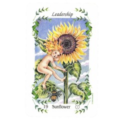 T. Colecc. Flower Speaks