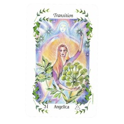 T. Colecc. Flower Speaks