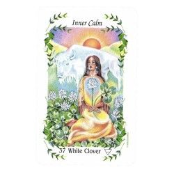 T. Colecc. Flower Speaks