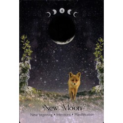 Oraculo Lunar Magic (40 cartas + libro) (2025) (EN) - Alice