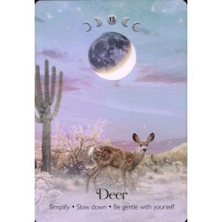 Oraculo Lunar Magic (40 cartas + libro) (2025) (EN) - Alice