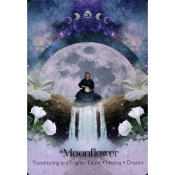 Oraculo Lunar Magic (40 cartas + libro) (2025) (EN) - Alice