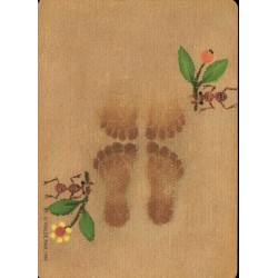 TAROT Morena (88 Cartas I