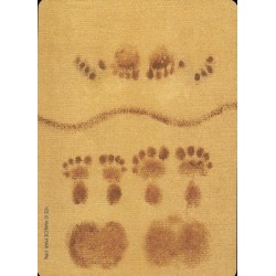 TAROT Morena (88 Cartas I