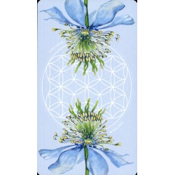 Tarot Black Seed Tarot (E