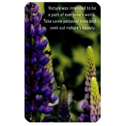 Tarot Climbing Your Personal Mountain (52 Cartas) (EN)