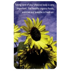 Tarot Climbing Your Personal Mountain (52 Cartas) (EN)