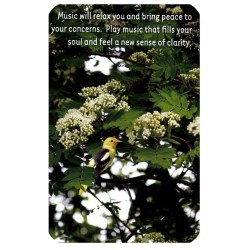 Tarot Climbing Your Personal Mountain (52 Cartas) (EN)