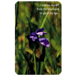 Tarot Climbing Your Personal Mountain (52 Cartas) (EN)