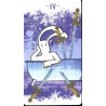 Tarot Bix (6 Idiomas Inst