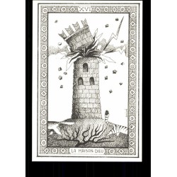 Tarot Coleccion 22 Arcani Gatti (IT) (Il Meneghello) (Numerados 2000) (Tapas Blancas)