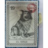 Tarot Coleccion 22 Arcani Cani (IT) (Numerados 2000 und) (Il Meneghello) (Tapas Blancas)