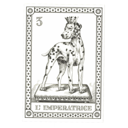 Tarot Coleccion 22 Arcani Cani (IT) (Numerados 2000 und) (Il Meneghello) (Tapas Blancas)