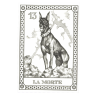 Tarot Coleccion 22 Arcani Cani (IT) (Numerados 2000 und) (Il Meneghello) (Tapas Blancas)