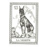 Tarot Coleccion 22 Arcani Cani (IT) (Numerados 2000 und) (Il Meneghello) (Tapas Azules)
