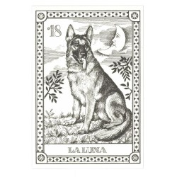 Tarot Coleccion 22 Arcani Cani (IT) (Numerados 2000 und) (Il Meneghello) (Tapas Azules)