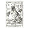Tarot Coleccion 22 Arcani Cani (IT) (Numerados 2000 und) (Il Meneghello) (Tapas Azules)