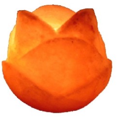 Porta Vela Sal Forma Rosa