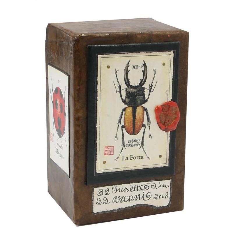 TAROT Insetti 6 x 11.5 x